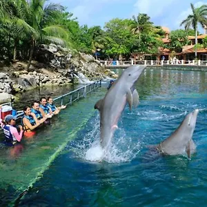 Increible Estudio En Puerto Aventuras, Con Alberca # 201 Apartment